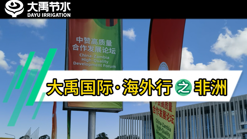 大禹国际·海外行之非洲