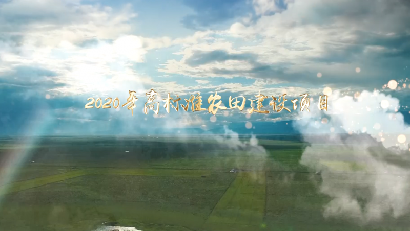 milan米兰水颍州区高标准农田建设