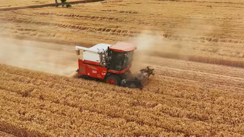 milan米兰水鹿邑高标准农田建设